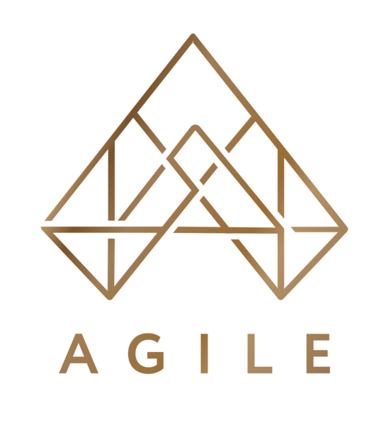 Agile Integrated Health