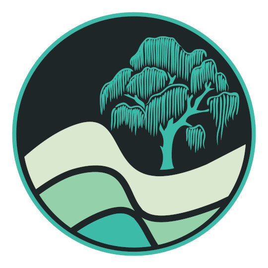 SoulSigma Holistic Therapeutics